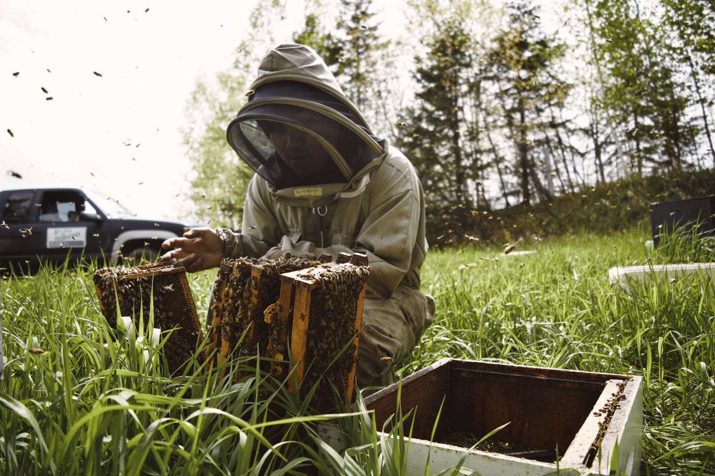 Rucher des Framboisiers