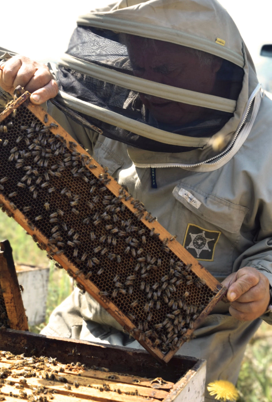 John Forest apiculteur fondateur biologique en Gaspésie au Québec