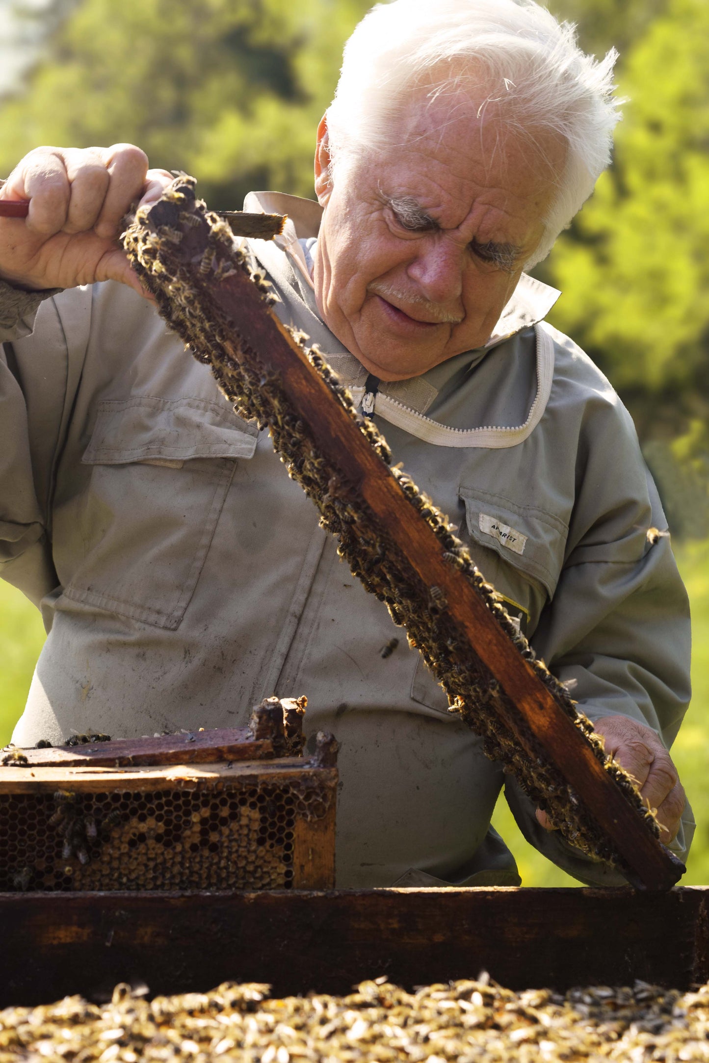 John Forest apiculture et miel biologique au Québec