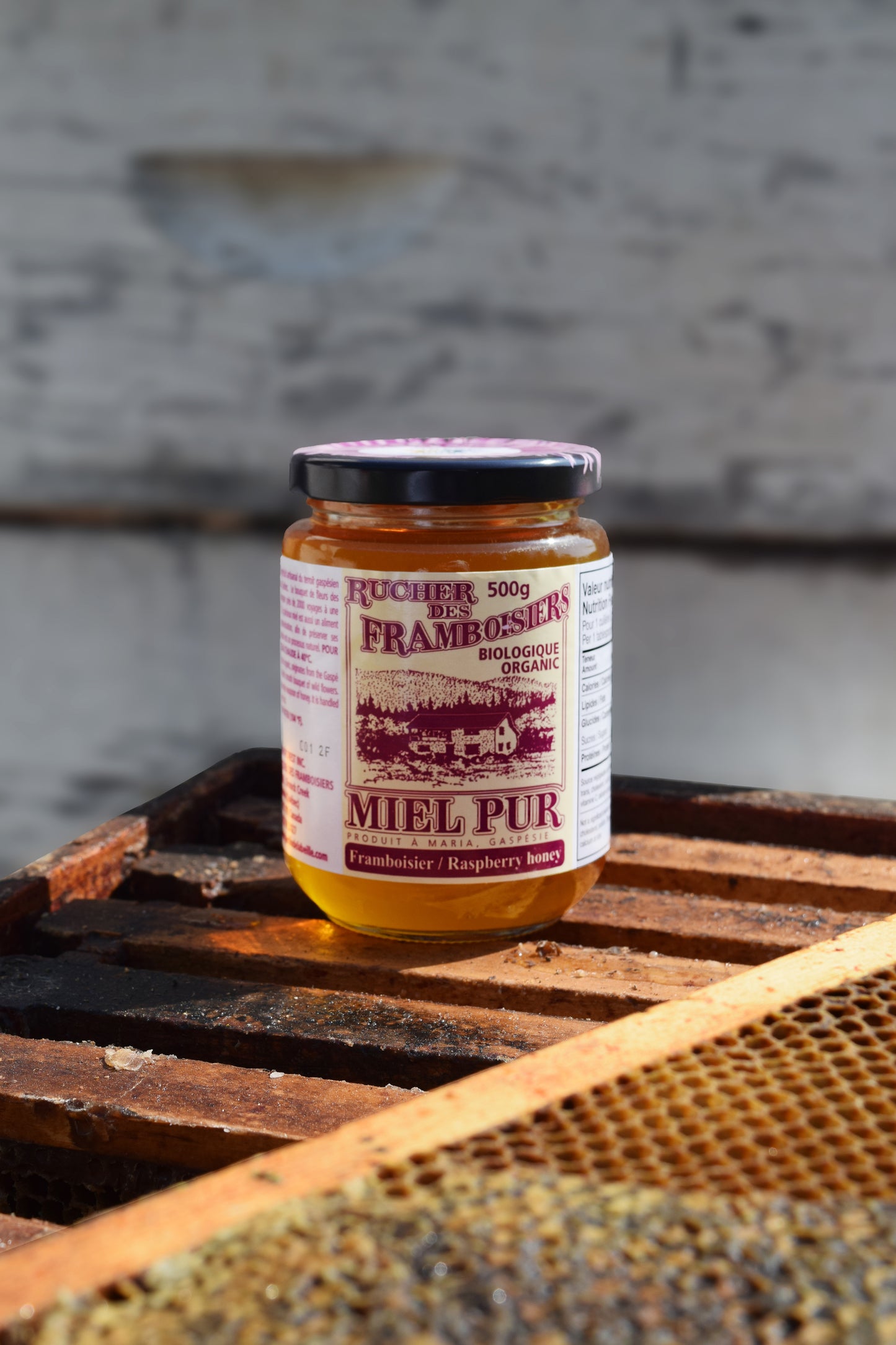Miel de framboisier du Québec biologique récolté à la main
