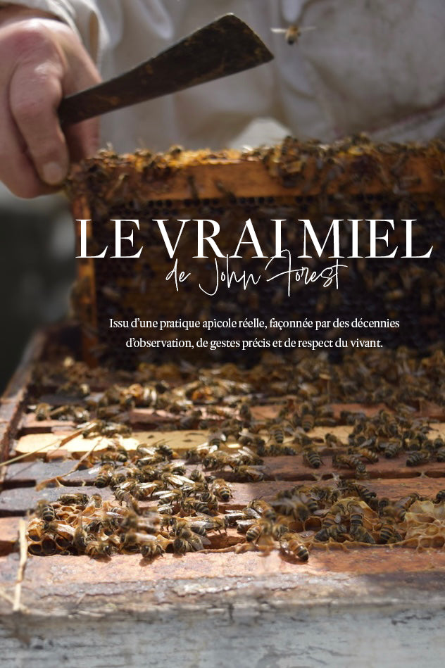 Rucher des Framboisiers