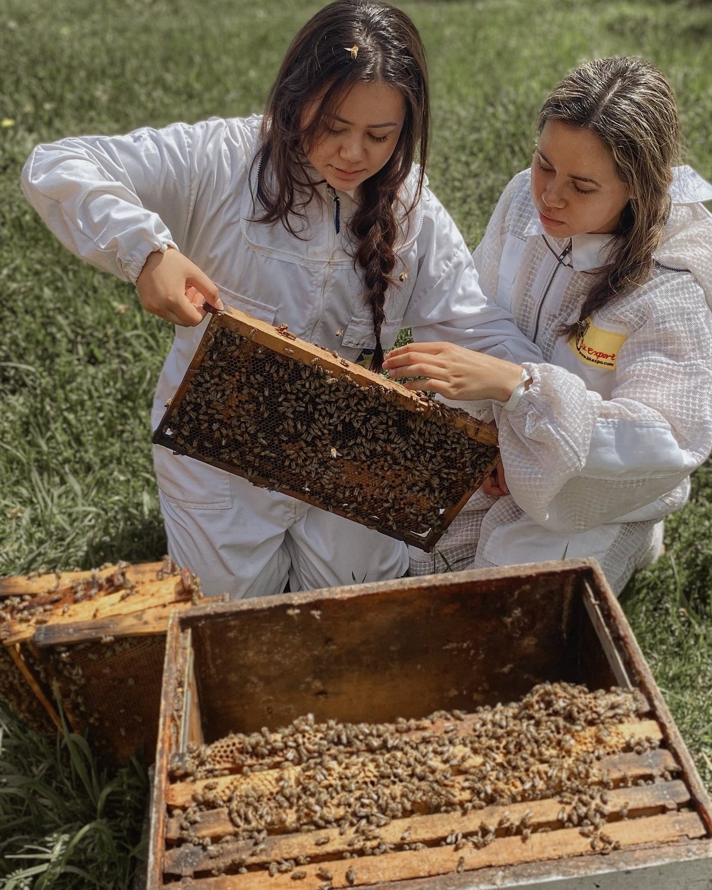 Moukda Forest et Linda Forest, relève au Rucher des Framboisiers pour le miel biologique en Gaspésie, au Québec